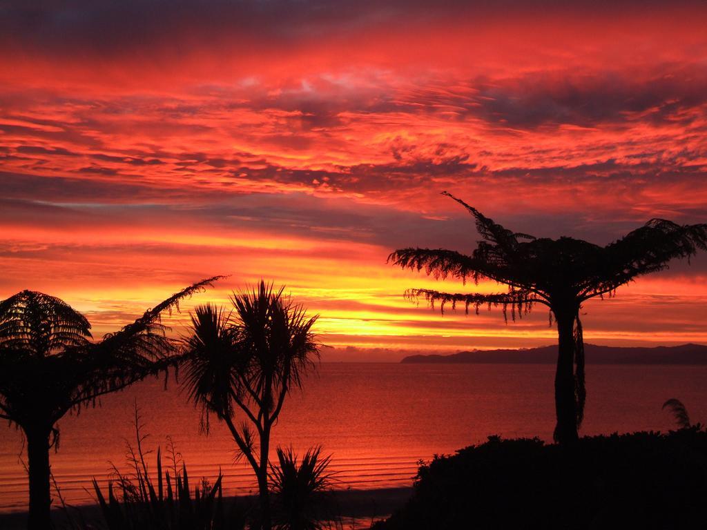 Adrift In Golden Bay- Absolute Beachfront Villas (Adults Only) Collingwood Habitación foto